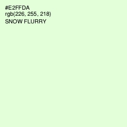 #E2FFDA - Snow Flurry Color Image